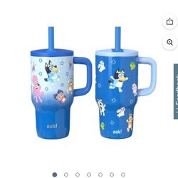 Zak Designs  Stainless Steel Double-Wall Tumbler for Kids with Straw, 2piece