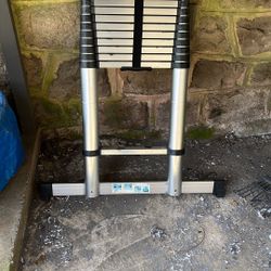 extendable ladder