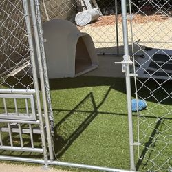 Artificial Grass And  Igloo Dog House 