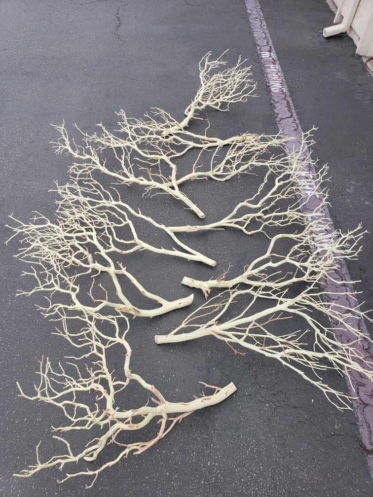 3ft Sandblasted Manzanita branches for Sale in Carlsbad, CA OfferUp