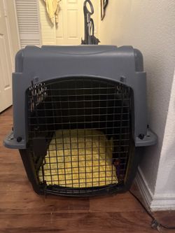 Dog kennel