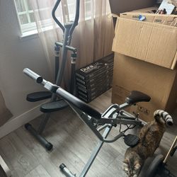 Sunny Step Machine And Row N Ride