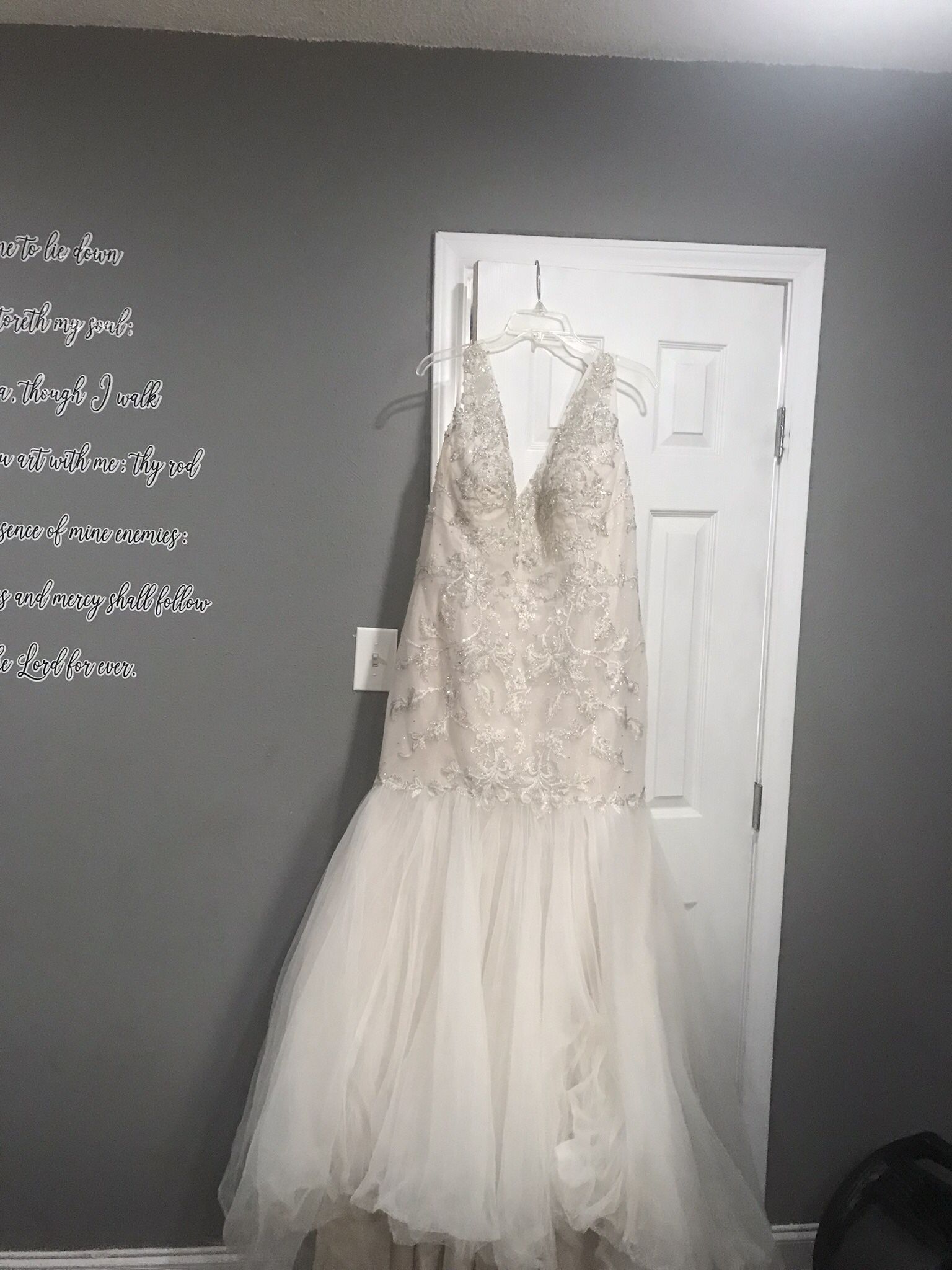 Wedding Dress/ Veil 