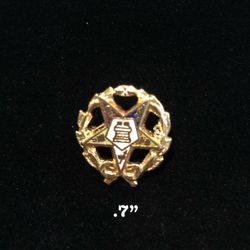 Eastern Star OES pin Gold Enameled 