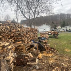 Firewood