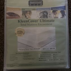 Queen Size Bed Bug Mattress Encasement  