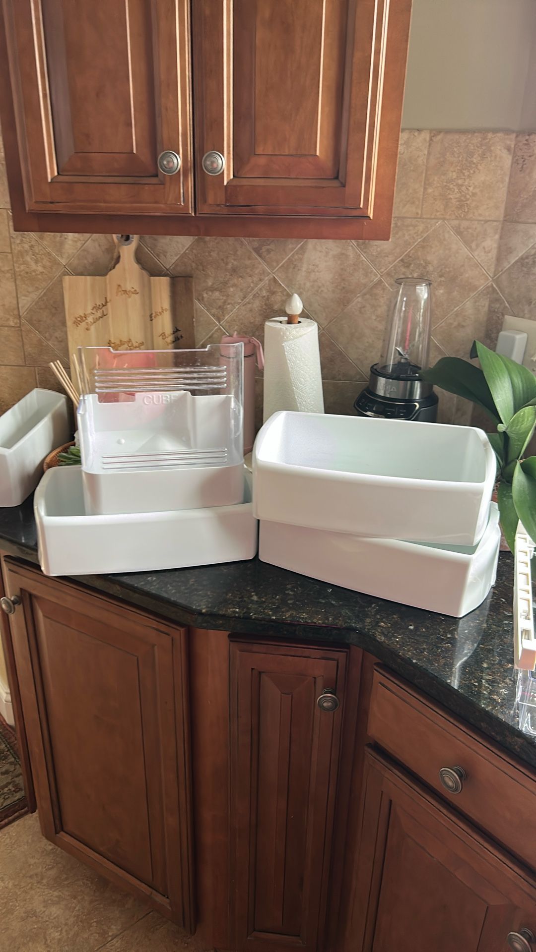Shelves And Bins From LG. Frig