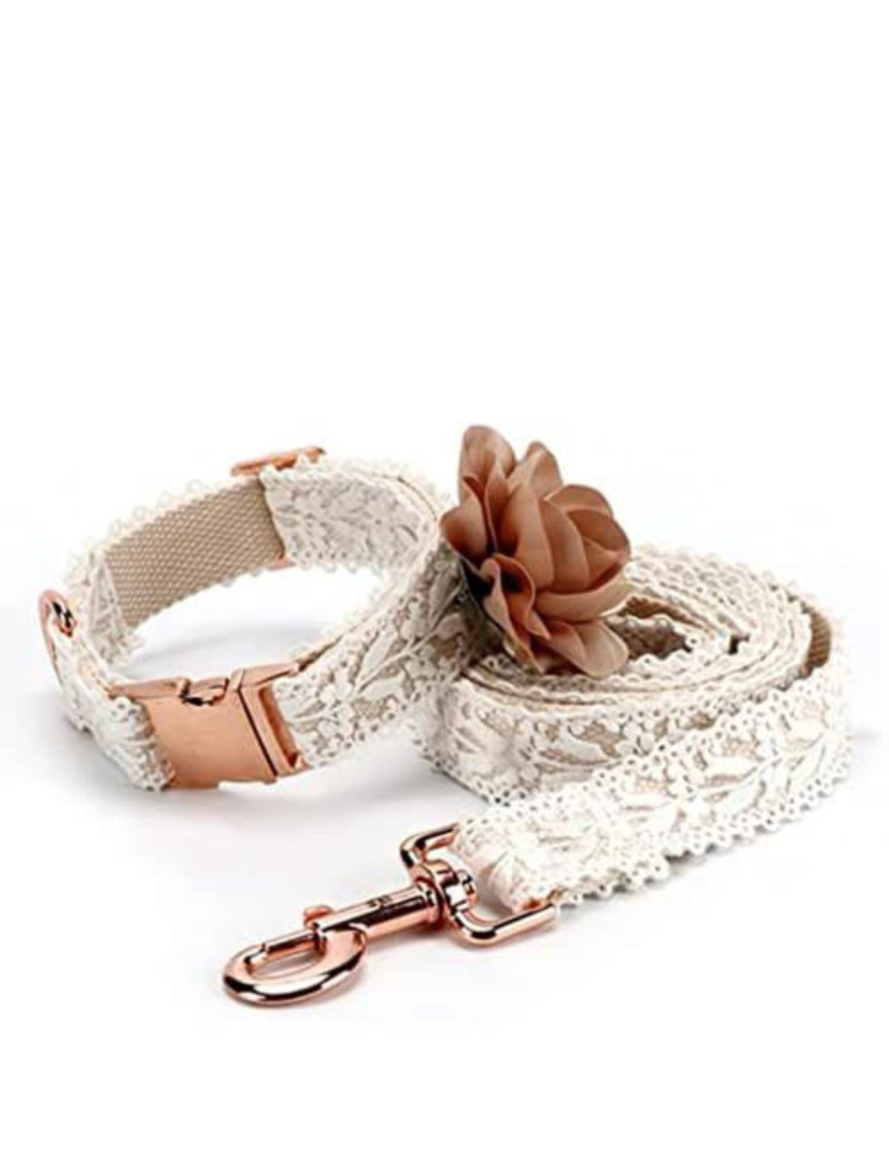 Dog Collar And Leash