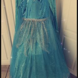 Frozen  Costume 