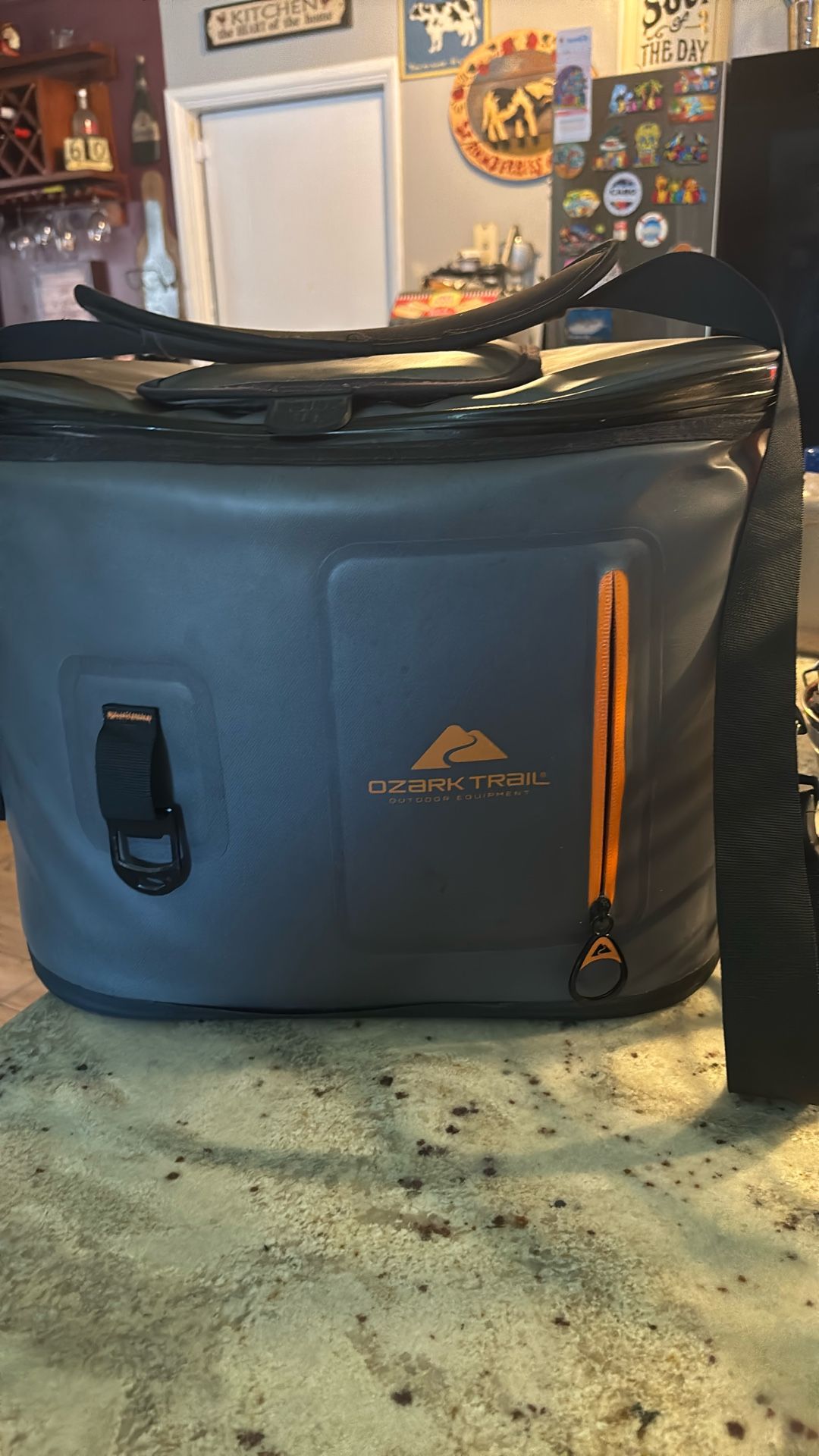 Ozark -Trail 24 Can Insulated Cooler/Great Cond
