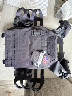 Plate carrier