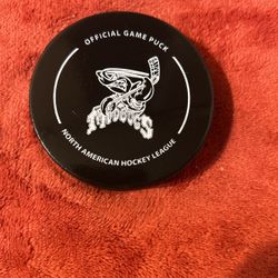 This is a personal mudbugs hockey puck used in league game currently have 3 with different designs on the back 