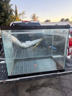 Animal Tank