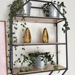 Plant Or Decorative Floating Shelf 