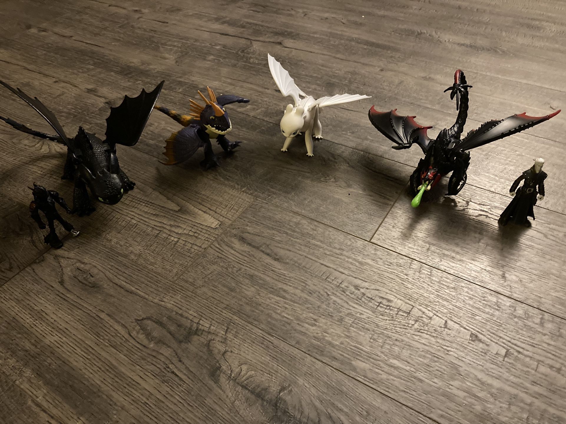 Toothless And Friends