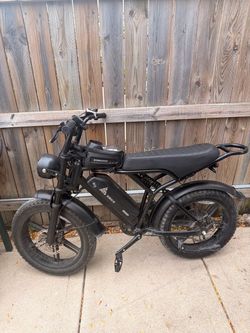 RZAHUAHU TS eBike Fat Tire Electric Bike