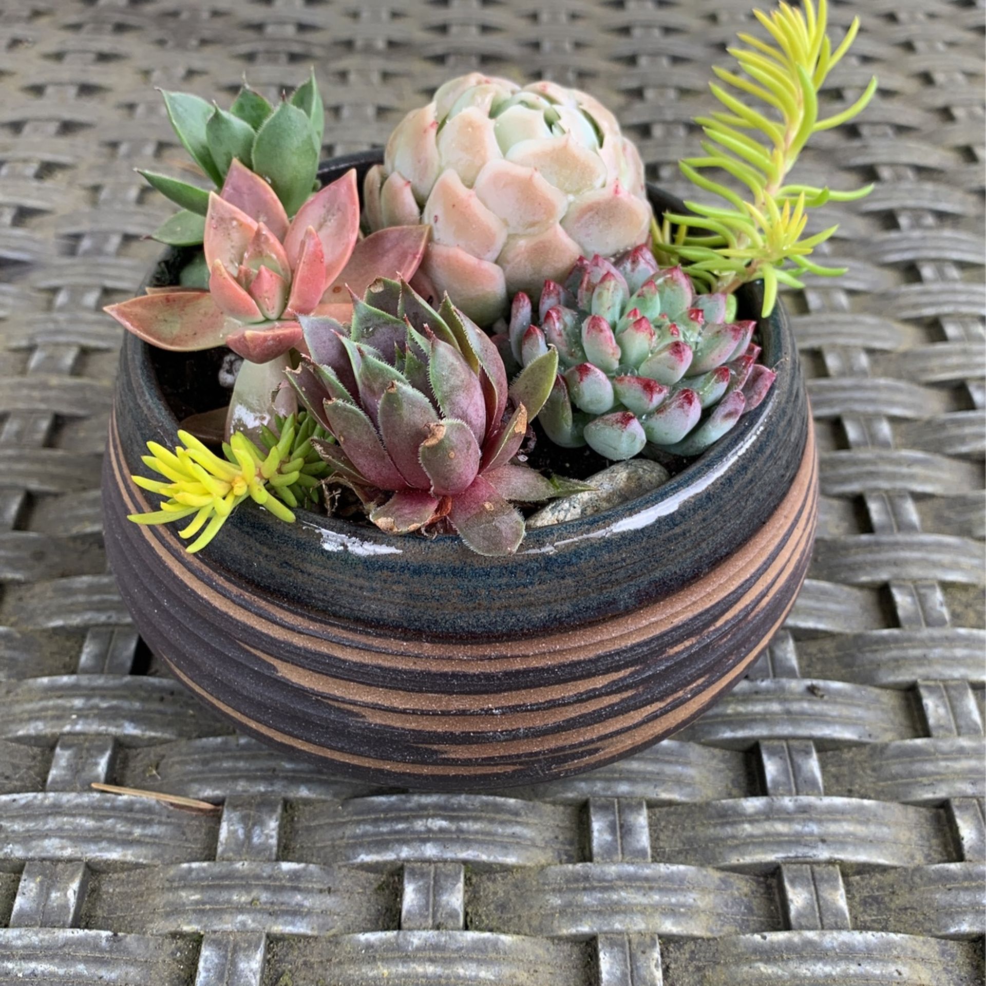 Colorful succulents In blue Marbled Clay Handmade ceramic Planter pot