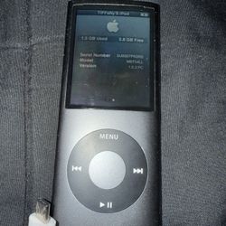 Apple iPod