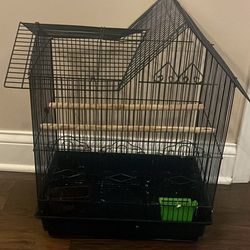 Bird Cage 