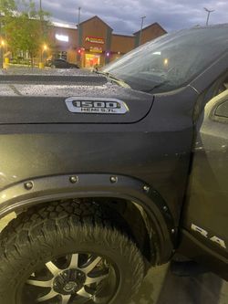 salvaje