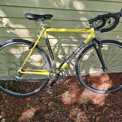 Light Weight Bike Morgul Bismark Mongrel 700×38