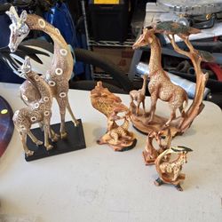 Group Of 6 Giraffes 