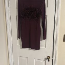 Elegant Burgundy Feathered Dress