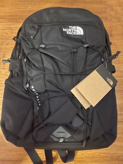 The North Face backpack- adult borealis