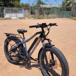 Mountain Electric Bike 1000w