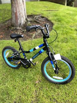 Guardian 16 store inch bike