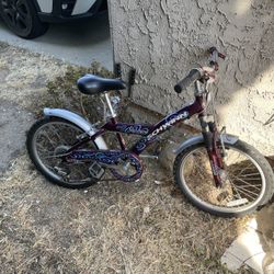 Schwinn Twister Bike Kids 
