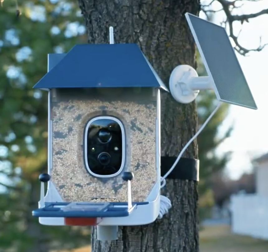 NEW Bird Feeder, Smart Bird Feeder W/ Camera & Solar Powered, AI Identify !