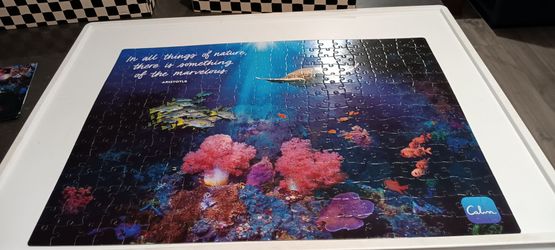 300 piece puzzle CALM. "MINDFUL PUZZLE"  24×18 INCHES