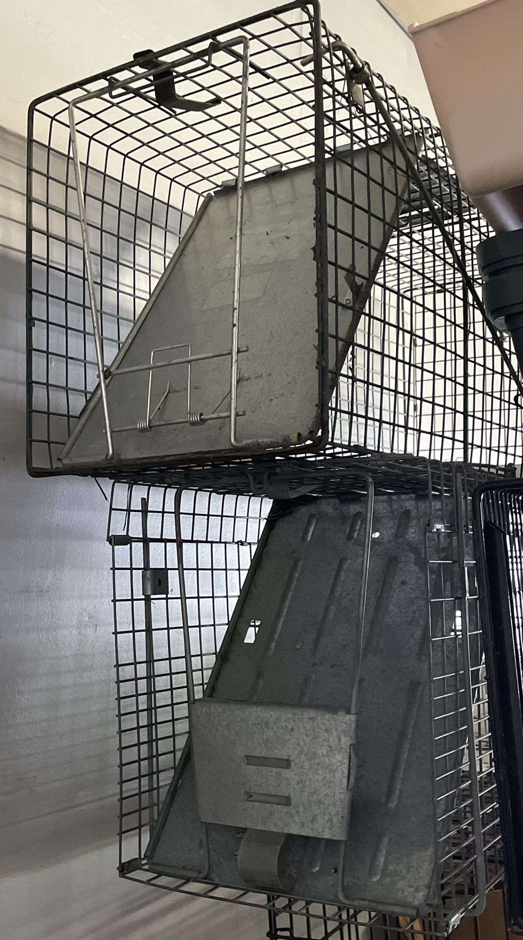 Cat Traps (2 Available)
