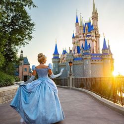 Disneyland Tickets 
