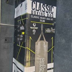 New Punching Bag 100$