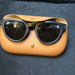 RayBan Meta Ai Sunglasses