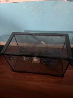 Fish Tank