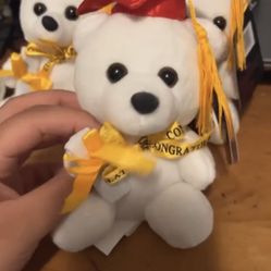 Small graduation Bears 