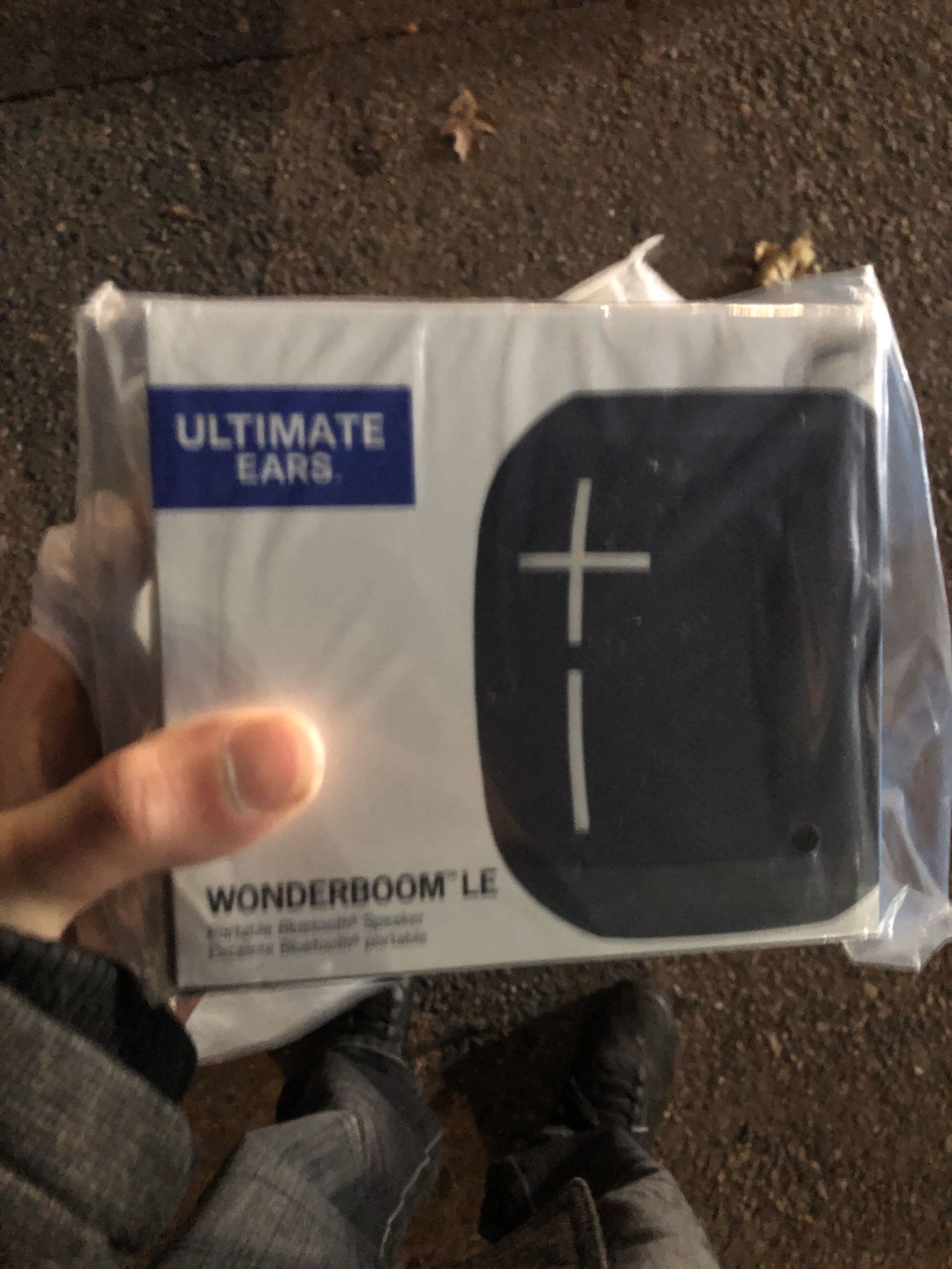 UE Wonderboom Limited Edition