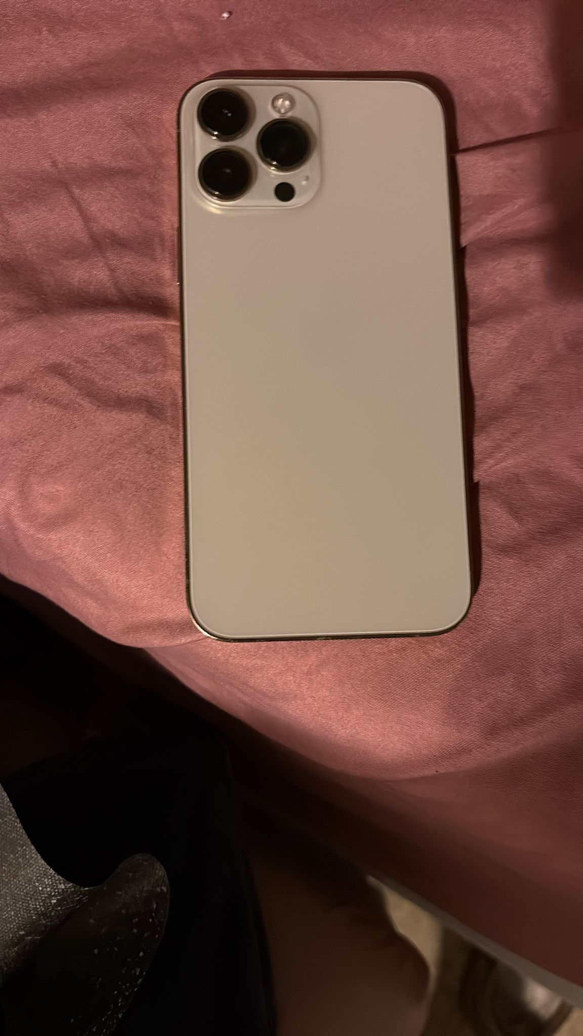 iPhone 13 Pro Max