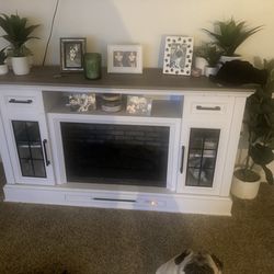 ELECTRIC FIREPLACE, COMES WITH FAKE PLANTS $250