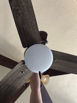 Celing fan