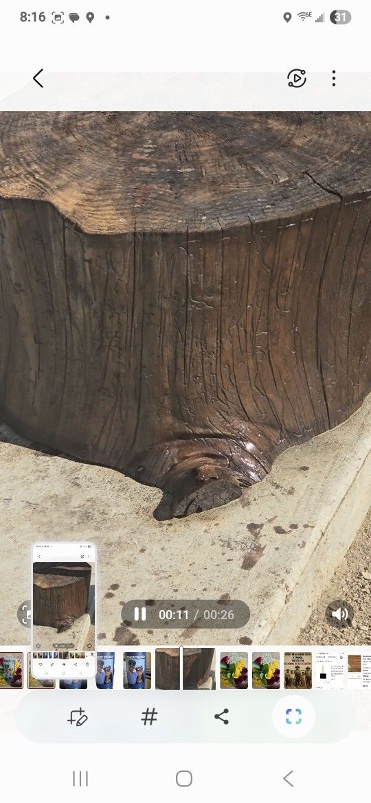 Tree Stump