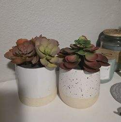 Faux ( Fake ) Succulents in Ceramic pot - Set of 2