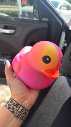 Squishy Duck
