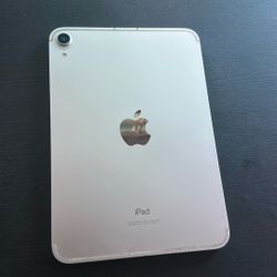 (2021) IPAD MINI 256GB