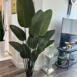 Pretty Artificial Plant 6 Ft Tall! Brand New 