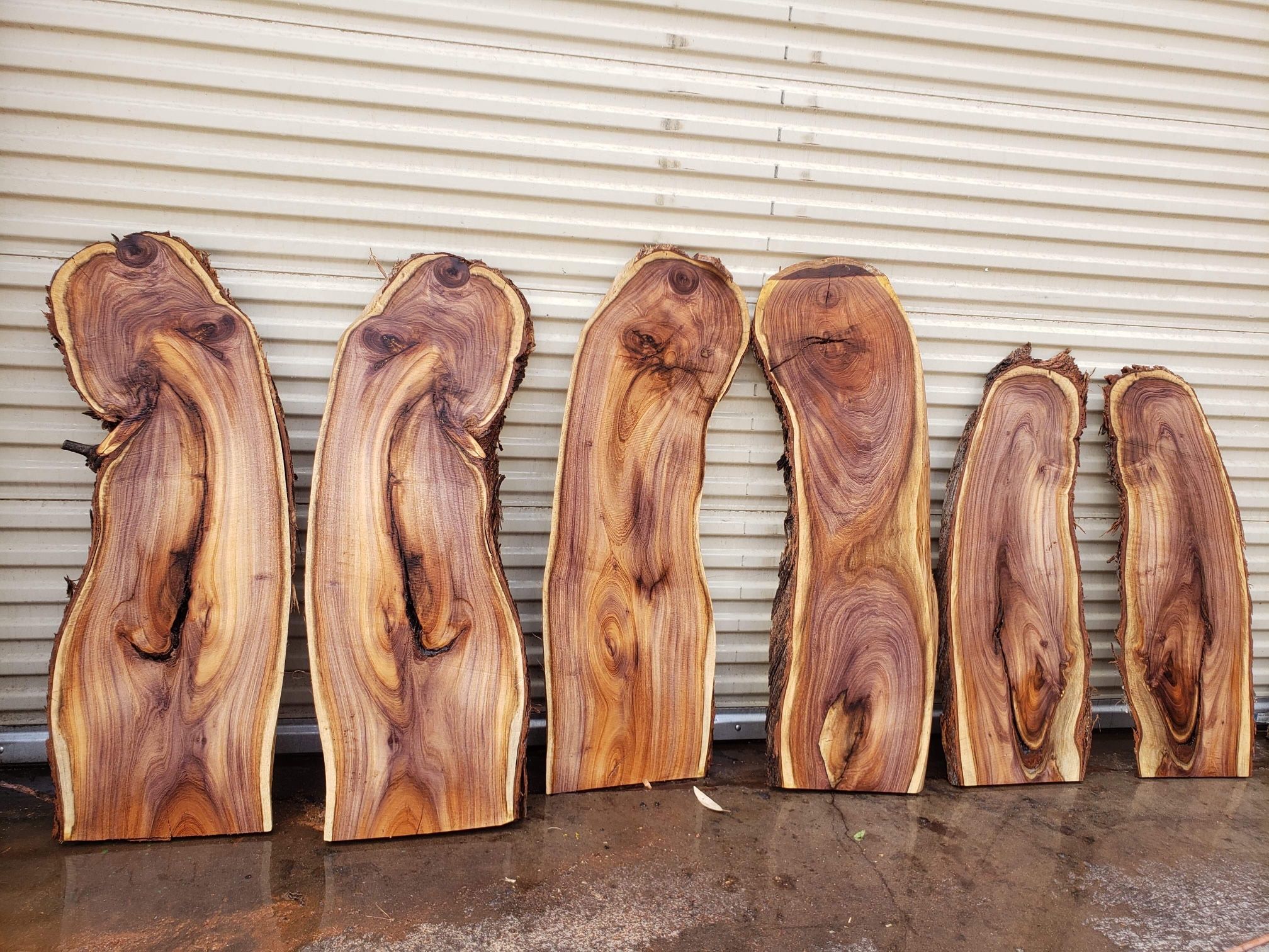 Live Edge Wood for Sale in Gilbert, AZ OfferUp