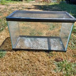 10 Gallon Terrarium